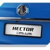 Number Plate Garnish