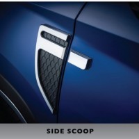 Hector Plus Side Scoop