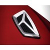 Hood Scoop