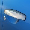 Chrome Door Handles