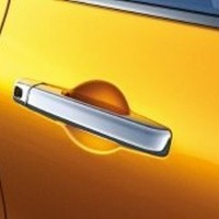 Chrome Door Handle