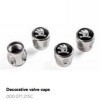 Valve Caps