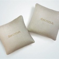 Premium Cushion Pillows (Set Of 2)