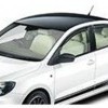 Black Roof and Side Decal