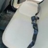 Seat Belt Pad