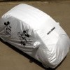 Car Covers