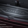 Luggage Tray
