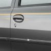 Body Graphics Dark
