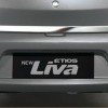 Rear Door Garnish