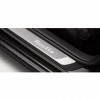 Entrance strips - stainless steel with logo