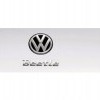 Exterior Beetle lettering - chrome