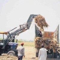 Sugar Cane Grabber