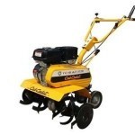 Gromax Picture -197