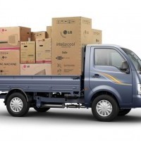 Super Ace Mint Goods Delivery