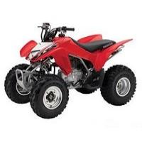 Honda ATV 2014 TRX250X Picture