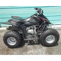 Honda ATV 2014 TRX90X Picture