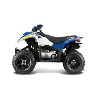 Polaris Phoenix 200 Boardwalk Picture