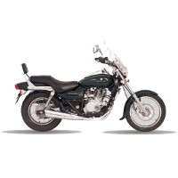 Bajaj Avenger 150 1