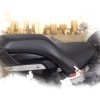 Seat Cover