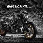 2018 Dominar 400 Black Color