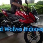 Bajaj Pulsar 200as Adventure Sports Half Fairing