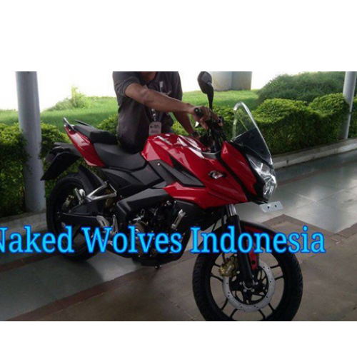 Bajaj Pulsar 200as Adventure Sports Half Fairing