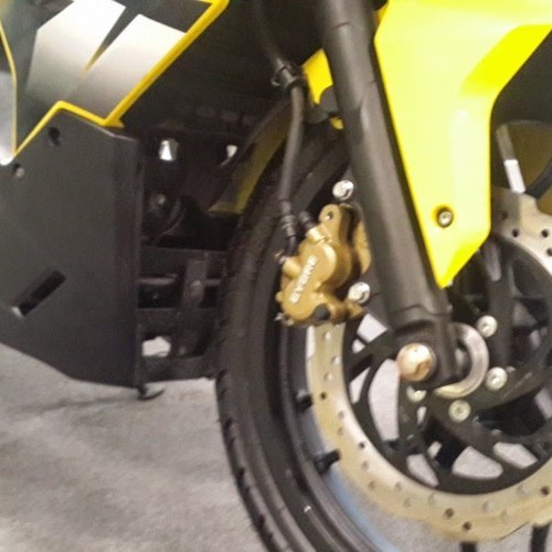 Bajaj Pulsar 200ss Turkey Picture 8