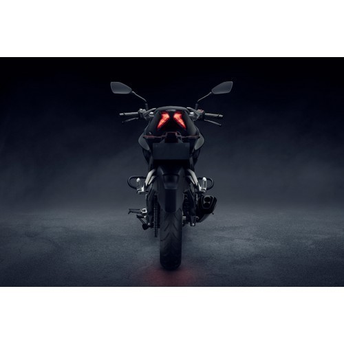 Pulsar N250 Back View