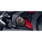 Pulsar F250 Engine View