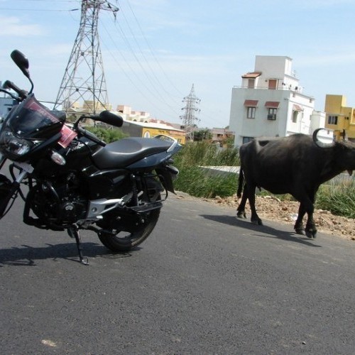 Bajaj Pulsar150 13