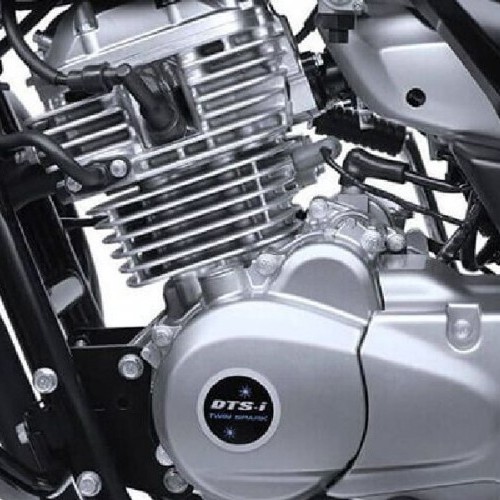 Bajaj V12 Engine Guard