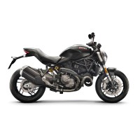 Ducati 821 Dark Picture