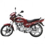 Global Auto-Xpression Plus