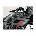 Hero Karizma Fuel Tank Picture