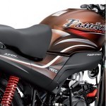 Hero Passion Pro 100 Petrol Tank Graphics