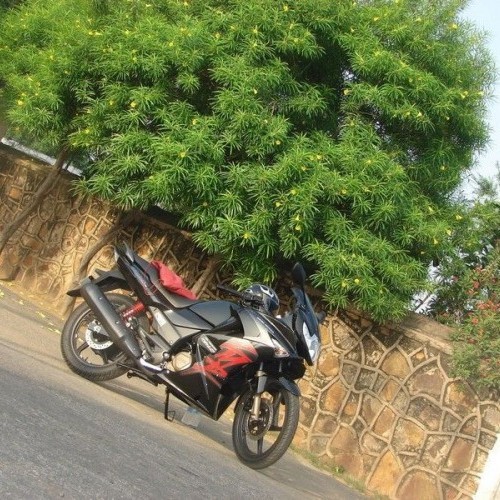 Herohonda Karizmazmrfi 22