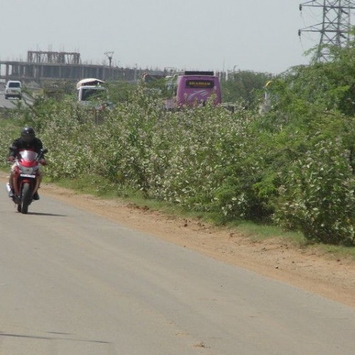 Hondamotorcycle Cbr250r 31