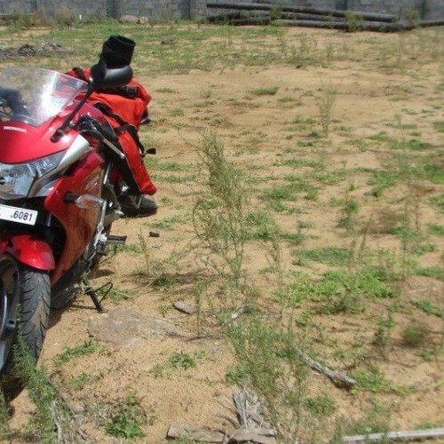 Hondamotorcycle Cbr250r 53
