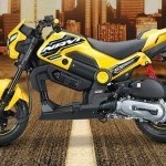 Honda Navi Street Exclusive Full Side View