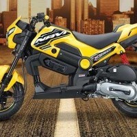 Honda Navi Street Exclusive Full Side View