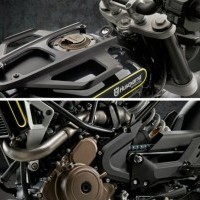 Husqvarna Svartpilen 401 Engine