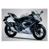 Kawasaki Bajaj Ninja 250 RR Mono