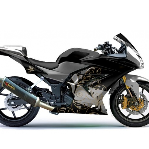 Ninja 250r 100
