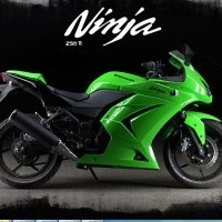 Ninja 250r 110