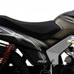 Mahindra Centuro Decal