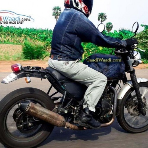 Royal Enfield Himalayan Bike Rear Disc Silencer