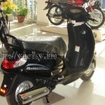 Suzuki Access 125cc Side View