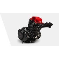 Tvs Apachertr160cc Race Serived O3c Tech