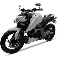 Tvs Draken 250cc Front View