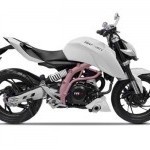 Tvs Draken 250cc Side View